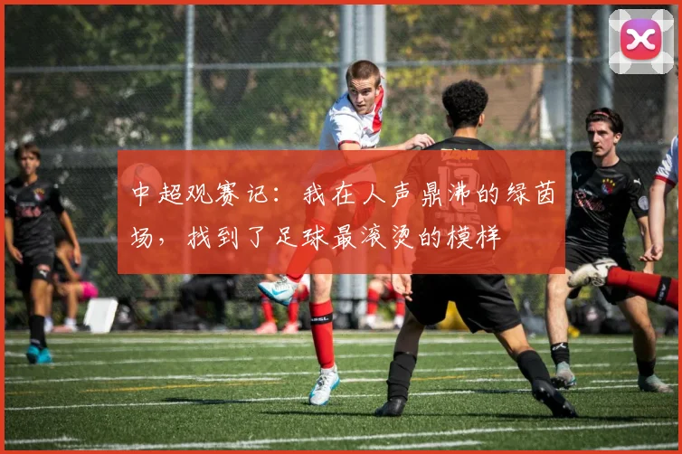 中超观赛记：我在人声鼎沸的绿茵场，找到了足球最滚烫的模样
