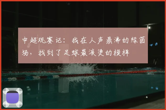 中超观赛记：我在人声鼎沸的绿茵场，找到了足球最滚烫的模样